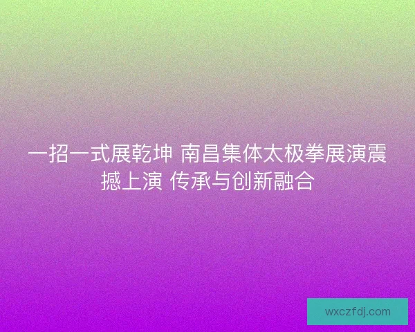 一招一式展乾坤 南昌集体太极拳展演震撼上演 传承与创新融合